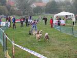 Trnávský sprint 2. ročník 14.-15.10.2006