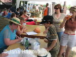 Trnávka